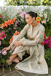 3 Piece Cotton Suit With Organza Dupatta| Ready To Wear