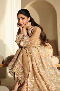 03-Piece Chiffon Suit With Embroidery | Ready To Wear
