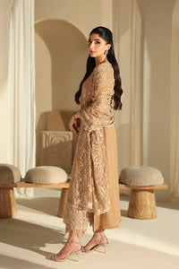 03-Piece Chiffon Suit With Embroidery | Ready To Wear