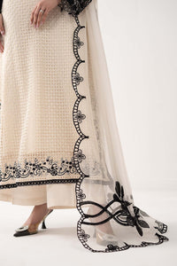Cream Ivory Chiffon Suit With Jet Black Embroidery | Ready To Wear