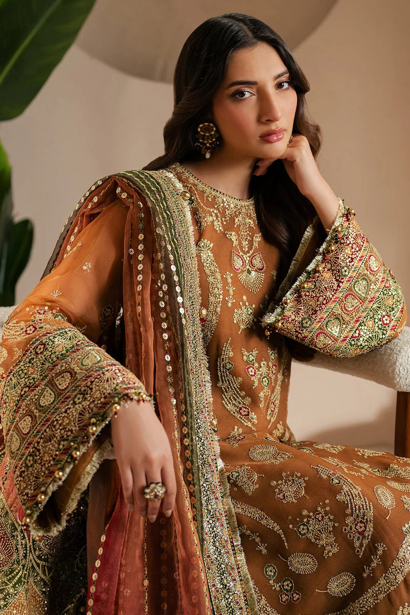 Rust Royalty: Embroidered Chiffon Suit With Net Dupatta | ready to wear