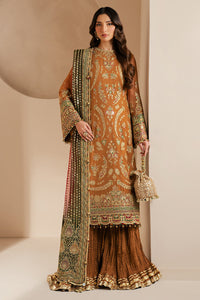 Rust Royalty: Embroidered Chiffon Suit With Net Dupatta | ready to wear